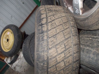 DSCN5113.JPG