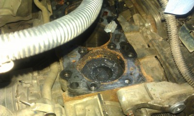 IMAG0545.jpg
