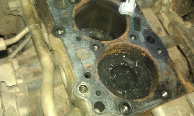 IMAG0550.jpg