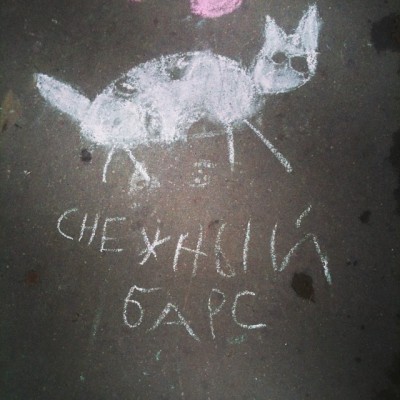 снежный барс.jpg