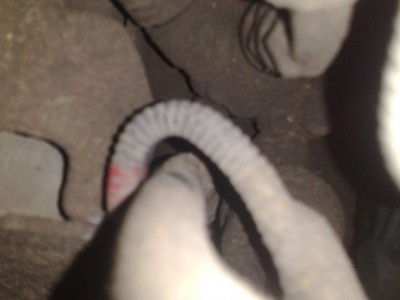 20112013284.jpg