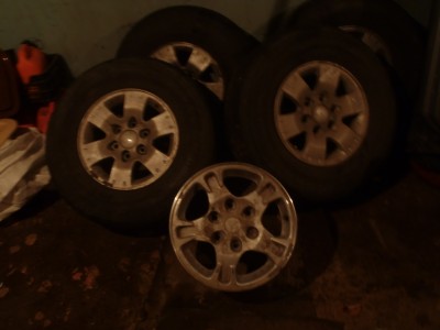 PB240096.JPG