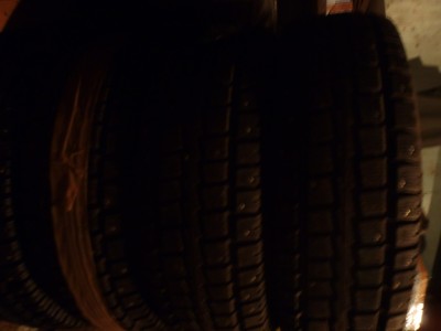 PB240097.JPG