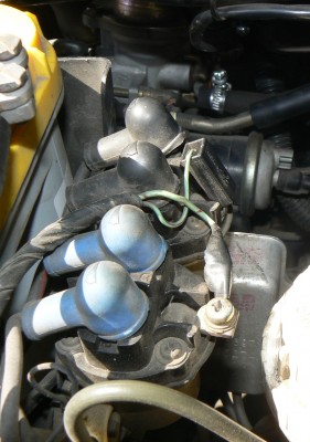 P1130115#.JPG