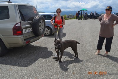 Вся семья в путешествии(ну и &quot;довод убеждения&quot; в 50-ть кило весом и с полным ртом зубов....) куда же без него(т.е. без нее...) член семьи путешествовал наравне со всеми и делил все тяготы дальней дороги просто прекрасно....