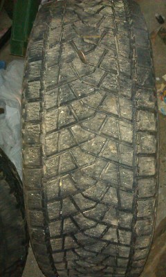 IMAG0690.jpg