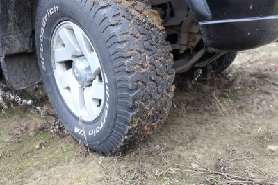 IMG_3905_resize.JPG