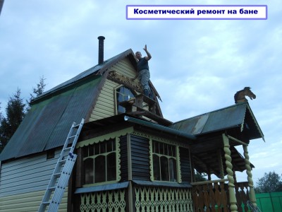 DSCN2589 дуб.jpg