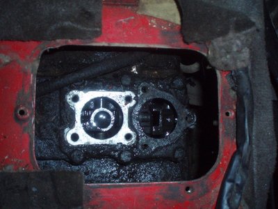 PC110036r.JPG