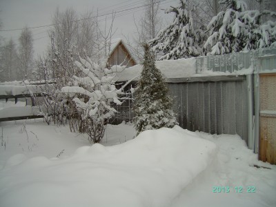 PICT3745.JPG