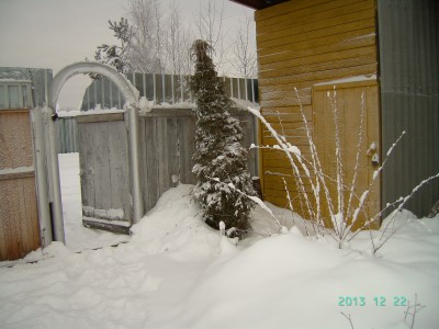 PICT3746.JPG