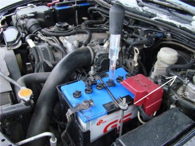 921e94dfc7bf.jpg