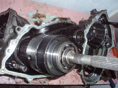 PC110035r.JPG
