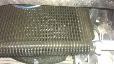 IMAG0542.jpg
