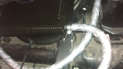 IMAG0543.jpg