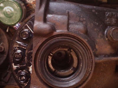 IMG0271.jpg