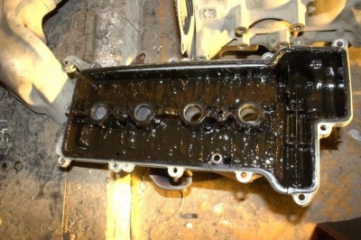 bxey7t56.jpg