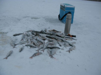 Щебенка.jpg (64.95 КБ) 105 просмотров Дадим стране угля, хоть мелкого, но ...