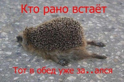 КИРДЫК.jpeg