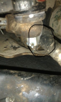 IMAG0788.jpg