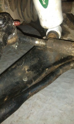 IMAG0785.jpg
