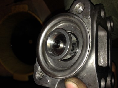 Вот такой он стал после помывки!