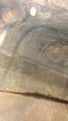 IMAG1212.jpg