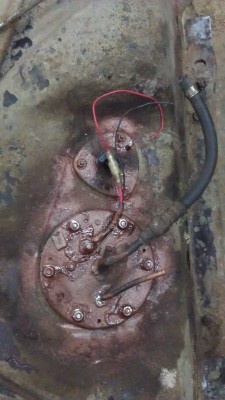 IMAG1216.jpg