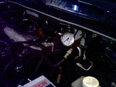 IMG0363A.jpg