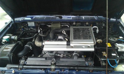IMAG1378.jpg