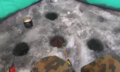 IMAG0317.jpg
