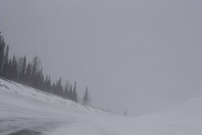 IMG_6049.jpg