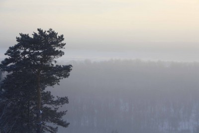 IMG_6019.jpg