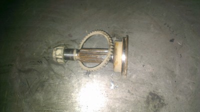 IMAG0602.jpg