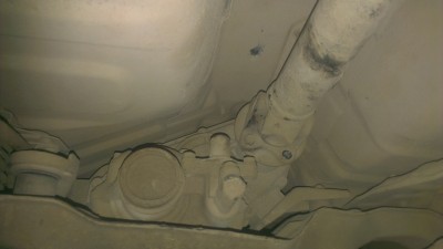 IMAG0608.jpg