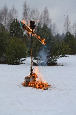 DSC_0485.JPG