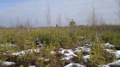 2014-03-01-321.jpg