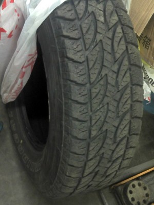 Bridgestone2.jpg