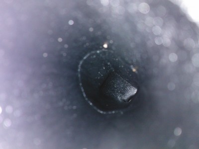 WP_000690.jpg