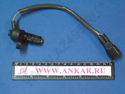 MR166198.JPG