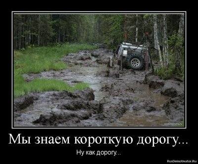 976924_m.jpg