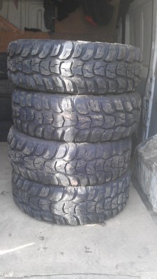 IMAG0743.jpg