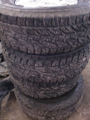 IMG_20130111_140958.jpg