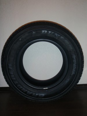 PB142564.JPG
