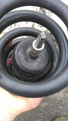 IMAG1186.jpg