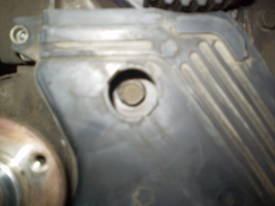 P3230009.JPG