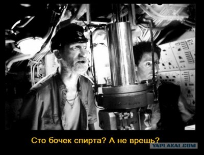 2975994.jpg