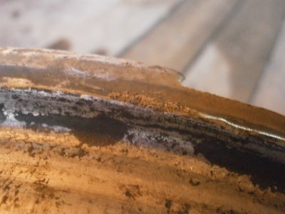 P3270014.JPG