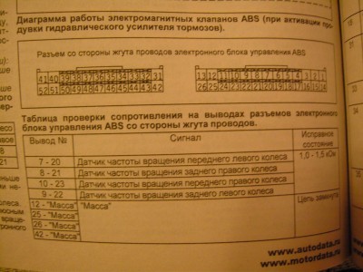 SNC12994.jpg