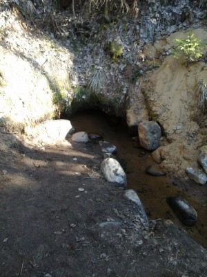 Ключ с родниковой водой.